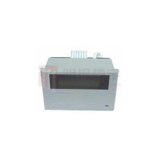 TPS11W 打印机(用于壁挂式控制器)